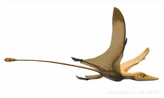 Preondactylus恐龙