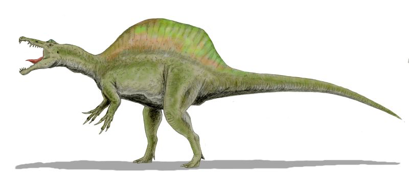 //www.glenncroston.com/wp-content/uploads/2022/04/spinosaurus.png
