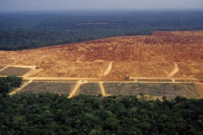 森林砍伐巴西