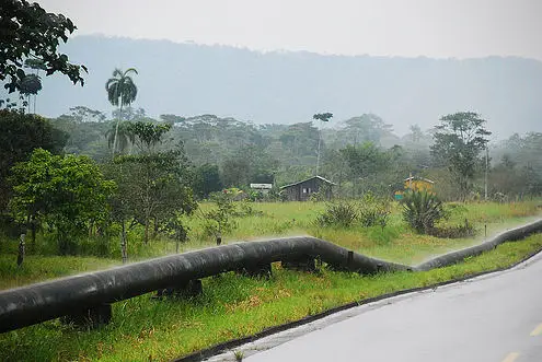 厄瓜多尔雨林