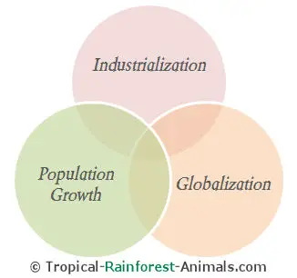 基本的污染原因,工业化、人口增长、全球化